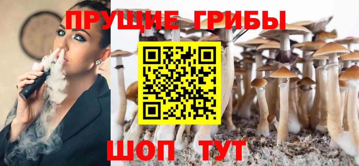 Псилоцибиновые грибы Magic Shrooms Будённовск