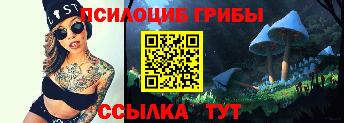 Псилоцибиновые грибы GOLDEN TEACHER  Вход с VPN  Псилоцибиновые грибы прущие грибы  Будённовск 